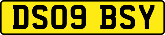 DS09BSY