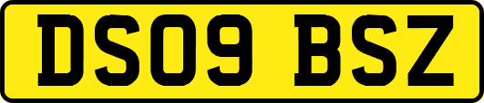 DS09BSZ