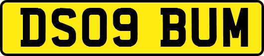 DS09BUM