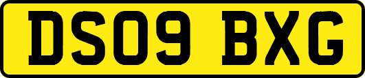 DS09BXG