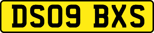 DS09BXS