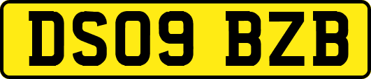 DS09BZB