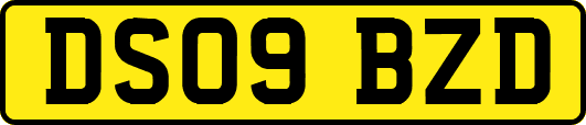 DS09BZD