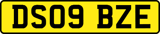 DS09BZE