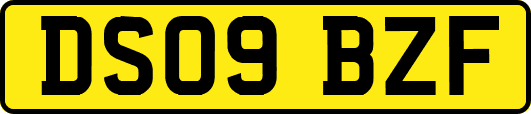 DS09BZF