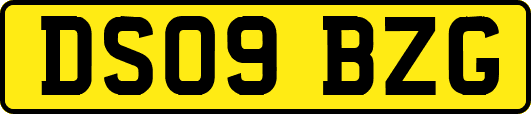 DS09BZG