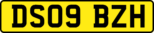 DS09BZH
