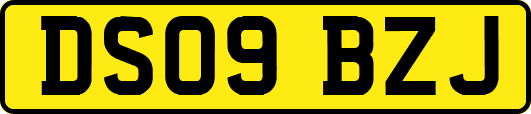 DS09BZJ