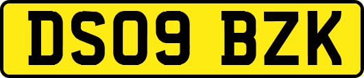 DS09BZK