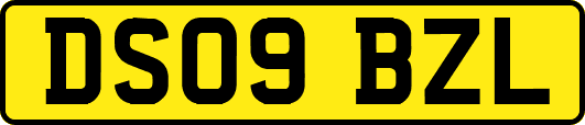 DS09BZL