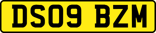 DS09BZM