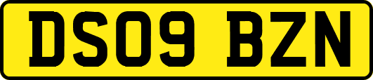 DS09BZN