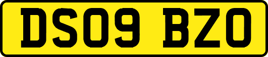 DS09BZO