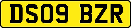 DS09BZR
