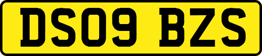 DS09BZS