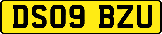 DS09BZU