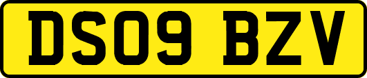 DS09BZV