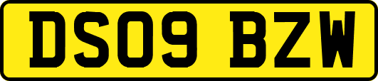 DS09BZW