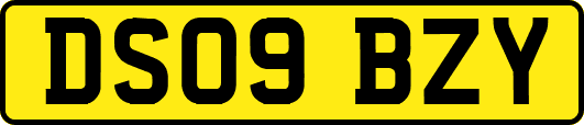 DS09BZY