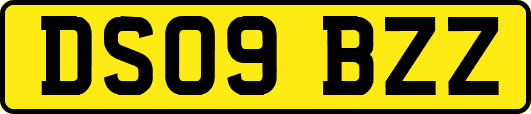 DS09BZZ