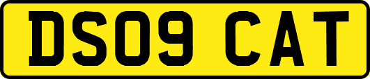 DS09CAT