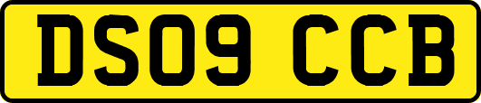 DS09CCB