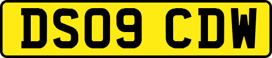 DS09CDW