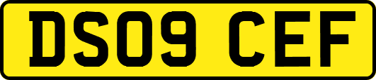 DS09CEF