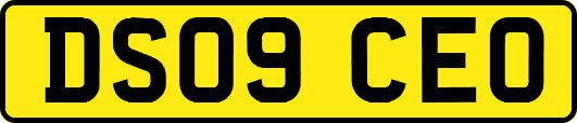 DS09CEO
