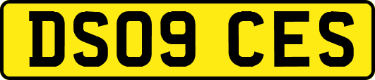DS09CES