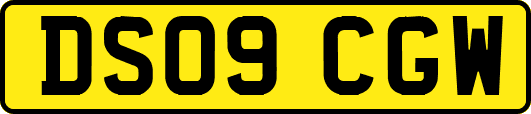 DS09CGW