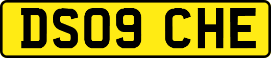 DS09CHE