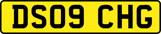 DS09CHG