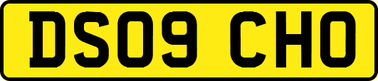 DS09CHO