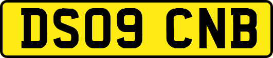 DS09CNB