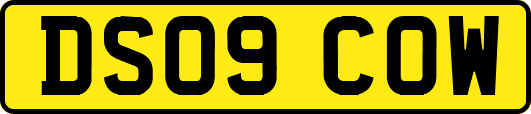 DS09COW