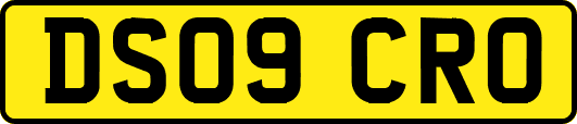 DS09CRO
