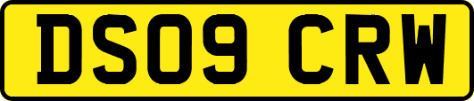 DS09CRW