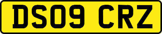 DS09CRZ