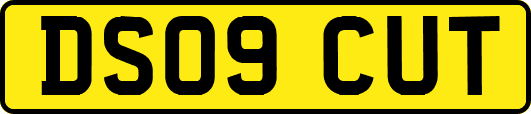 DS09CUT