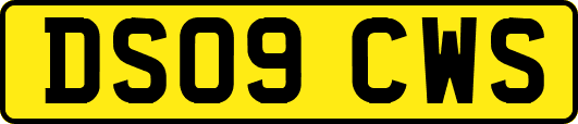 DS09CWS