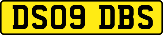 DS09DBS