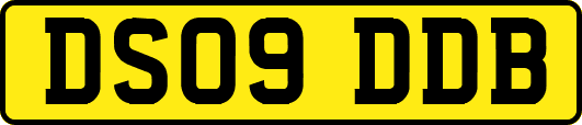 DS09DDB