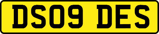 DS09DES