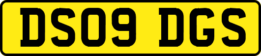 DS09DGS
