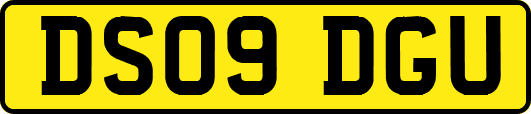 DS09DGU