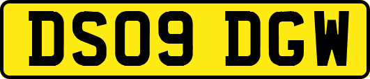 DS09DGW
