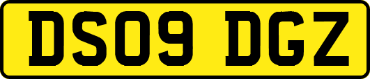 DS09DGZ