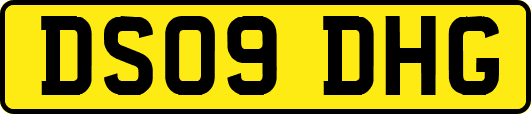 DS09DHG