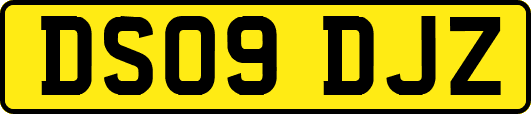 DS09DJZ